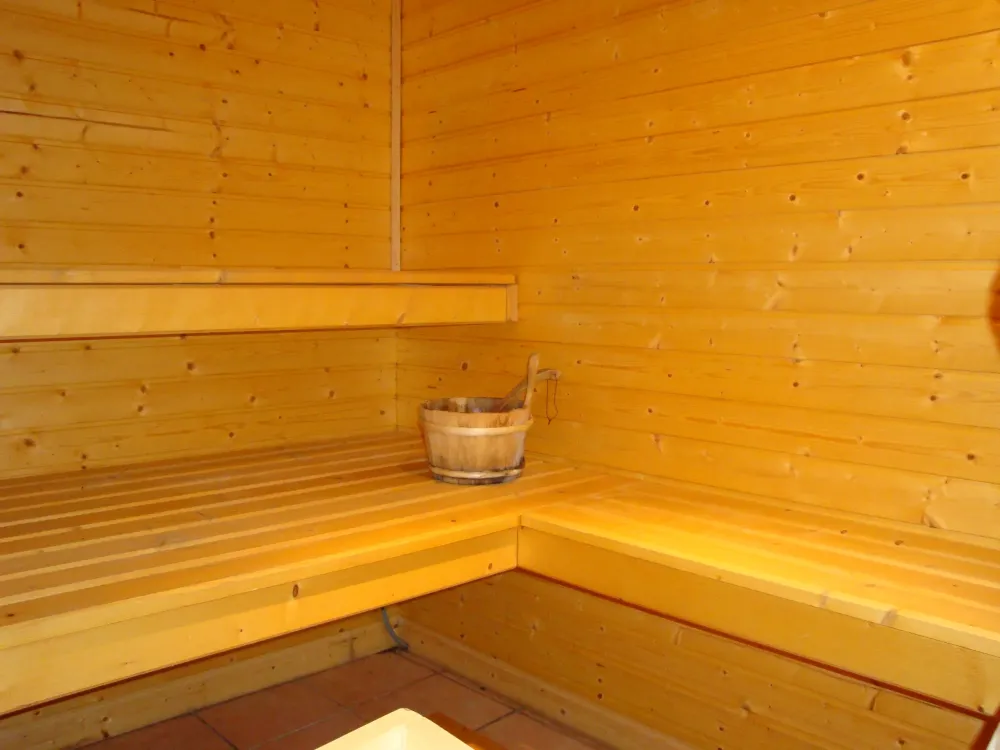 sauna.webp